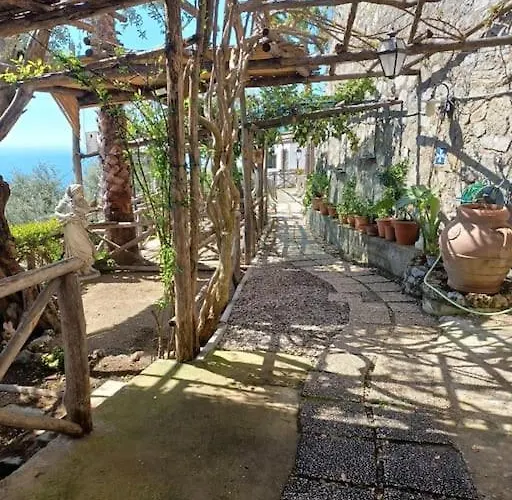 Panoramic In * أمالفي