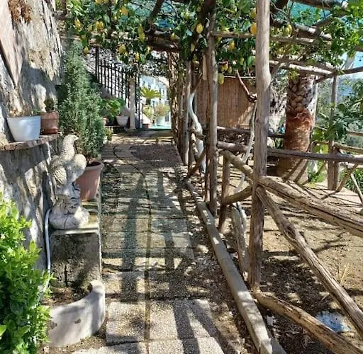 Villa Panoramic In *