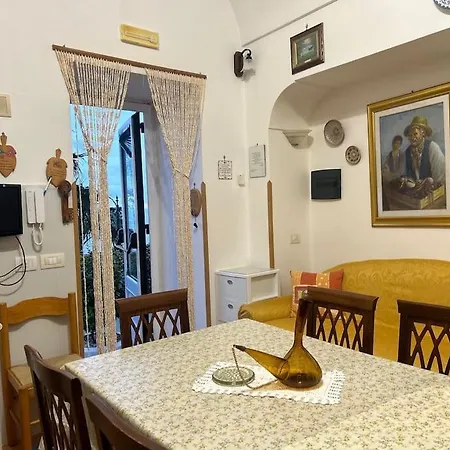 Panoramic In